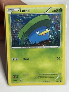 LP Lotad 2/12 McDonalds Promo Confetti Holo 2015 Carta Pokemon - Foto 1 di 2