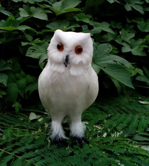 simulation white owl toy plastic&fur white owl doll gift about 28x13x15cm - Image 1 of 1