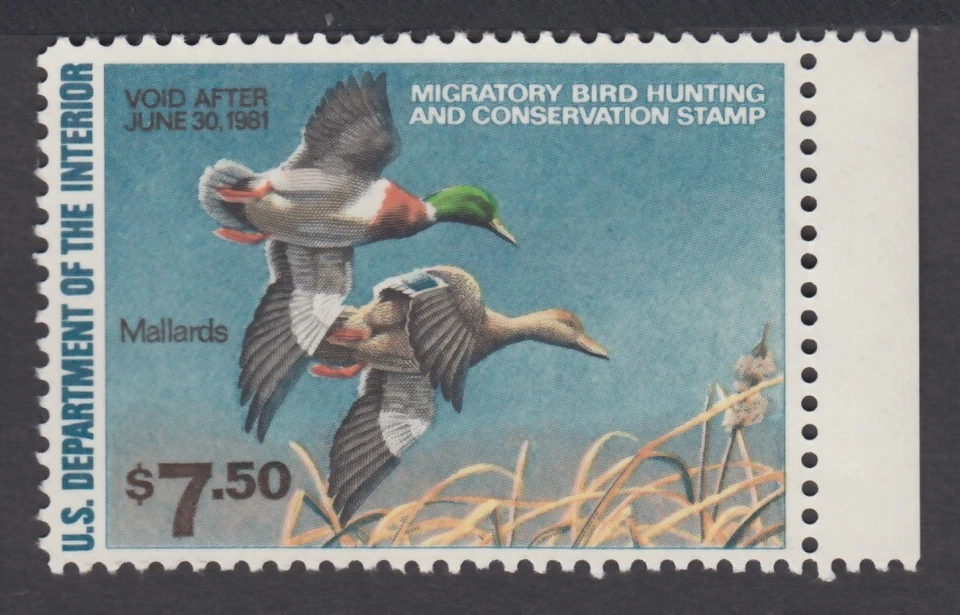 UNITED STATES 1980 DUCK STAMP RW47 MNH $5.00 MALLARDS - Image 1 of 2
