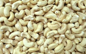 CASHEWS Raw Fresh Bulk Organic Premium Whole Jumbo Cashew Kernels From Holy Land - Picture 1 of 8