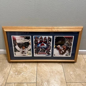 Colorado Avalanche 2001 Stanley Cup Champions gerahmtes Foto Plakette Joe Sakic Ray - Bild 1 von 11