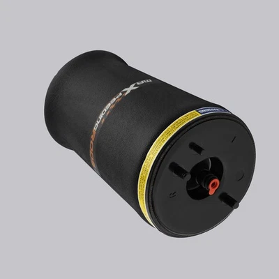 Rear Left Suspension Bag for BMW 5 Series E39 Touring 520i 1995-2004 37121094613 - Photo 1/4