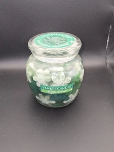 Yankee Candle Farmer's Market Sparkling Pine 15,5 oz Kerze NEU - EINGESTELLT - Bild 1 von 5