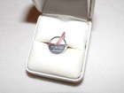 PIEDMONT AIRLINE OLD LOGO LAPEL PIN AMERICAN US AIRWAYS ALLEGHENY PILOT GIFT