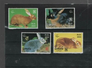 Juego de conejos de Somalia bonito juego - Imagen 1 de 1