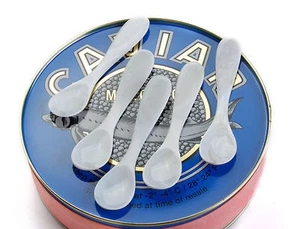 LOT SET of 6 Mother of Pearl Caviar Serving Spoons Hand Crafted *FREE SHIPPING* - Picture 1 of 1