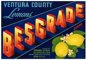 SCATOLA FRUTTA ORIGINALE CASSA LIMONE ETICHETTA VENTURA OXNARD ANNI 40 VINTAGE TIPO MODERNO - Foto 1 di 1