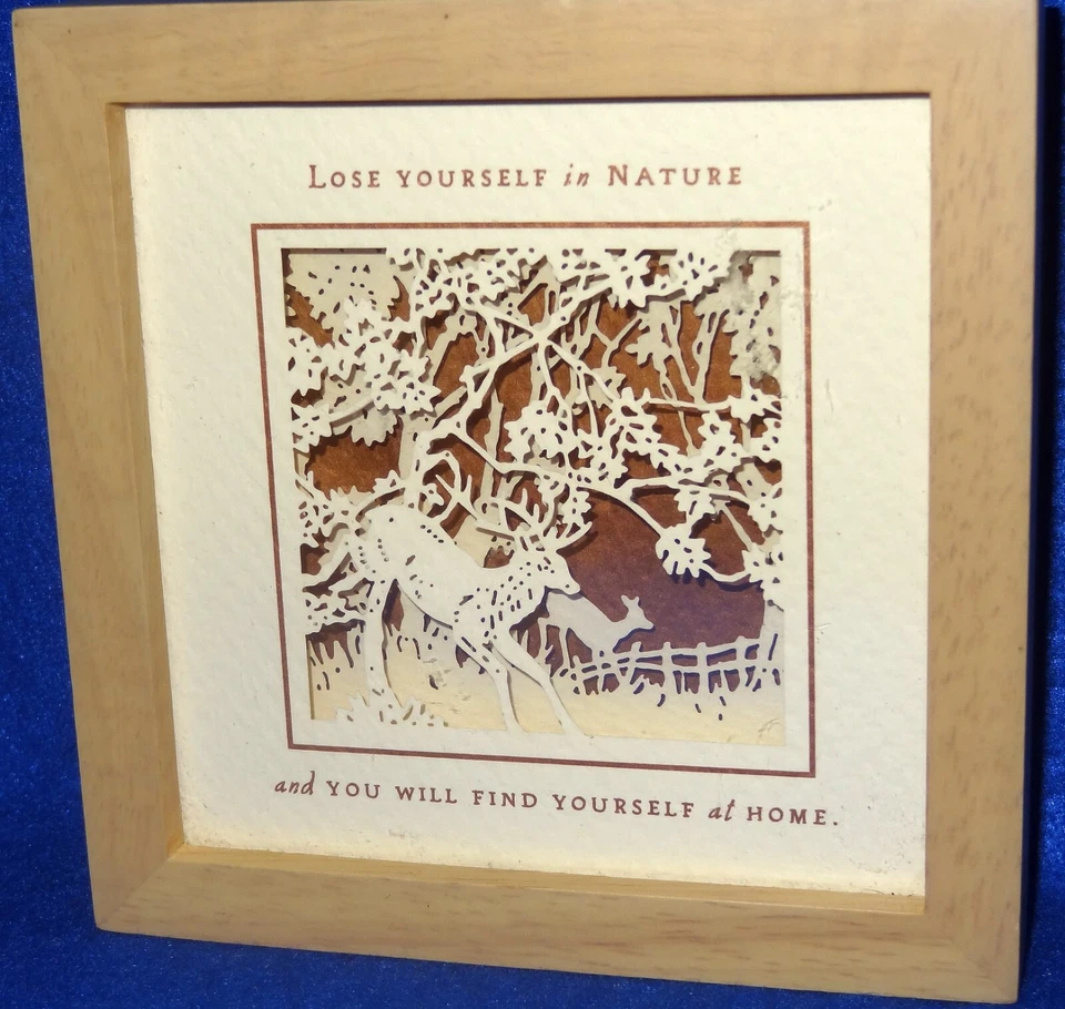 Hallmark Glass & Wood Framed Laser Gallery Picture 3-d Effect Nature Deer