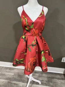 Windsor Red Roses Fit and Flare Dress  Prom Garden Party Homecoming Size Medium - Picture 1 of 4