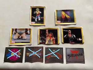 IMAGE STICKER NO PANINI MERLIN WWF 1CHOIX WORLD WRESTLING 1993 CATCH BRILLANTE - Bild 1 von 2