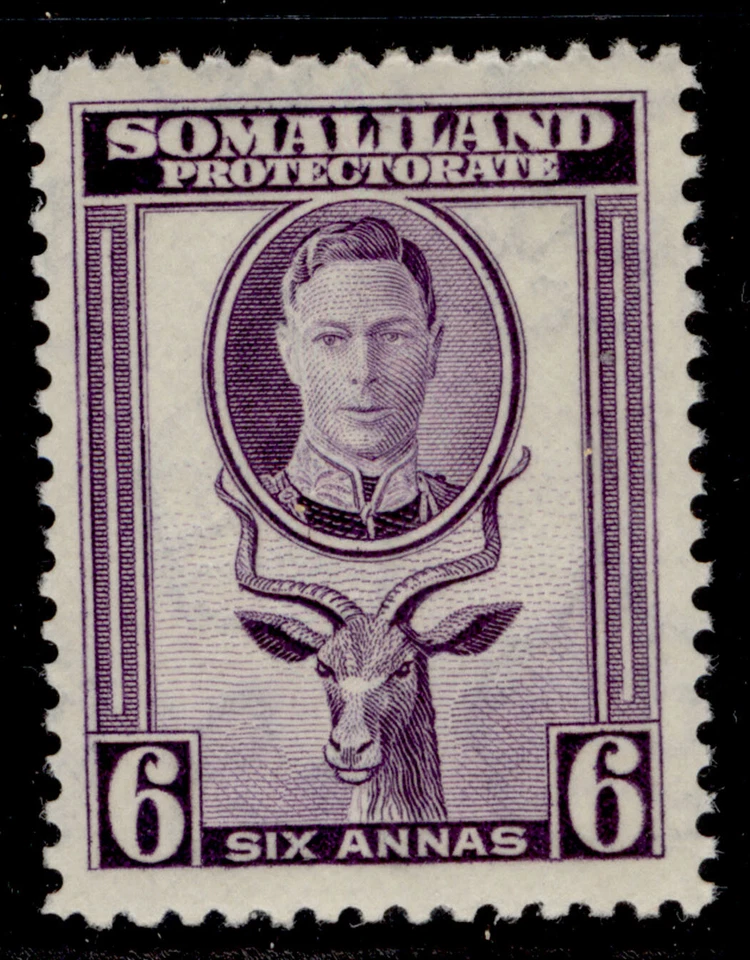 SOMALILAND PROTECTORATE GVI SG110, 6a violet, NH MINT. - Image 1 of 1