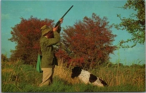 England UK / J. Salmon HUNTING Postcard "Britain's Countryside: ROUGH SHOOTING" - Picture 1 of 2
