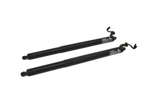 Rear Trunk Tailgate Lid Spindle Drive Strut Shock Set OEM BMW F48 X1 2016-22 - Picture 1 of 11