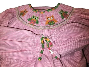 Claire & Charlie Smocked Owl Gingham Check Pink Multicolor Dress Size 4 - Picture 1 of 14