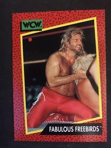 1991 Impel WCW #120 Fabulous Freebirds - Picture 1 of 2