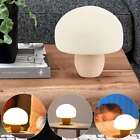 Table Mushroom Night Light Lamp LED Light 30 Minute Timer Setting USB Chargeing