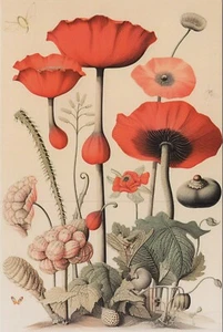 Red Flower Illustrations ~ New 2023 Image Cards 4"x6" 8155.2 MR ALE - Picture 1 of 7