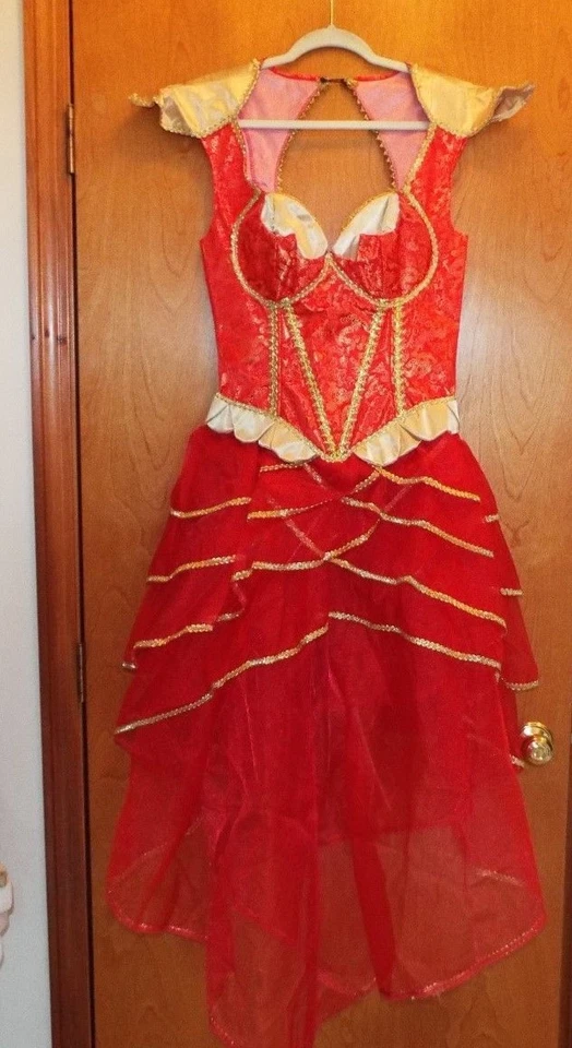 INCHARACTER 服装 ORIENTAL PRINCESS CORSET 连衣裙,2012 年大号。 令人惊叹! — 第 1/1 张图片