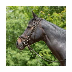 Kieffer Ultrasoft Tara Snaffle Bridle - Picture 1 of 3