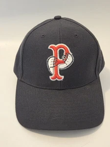 Pawsox Hat Minor League Baseball Hook And Loop Adjustable One Size Bear Logo - Picture 1 of 10