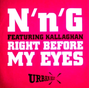 N N G / NNG - RIGHT BEFORE MY EYES - 12" VINYL RECORD - UK GARAGE UKG CLASSIC DJ - Picture 1 of 3