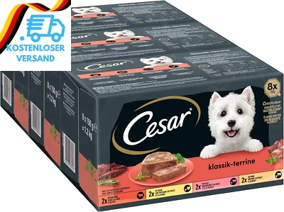 Cesar Hundefutter Nassfutter Klassiker Selektion Terrines En Duo, 24 Schalen (3  - Bild 1 von 4