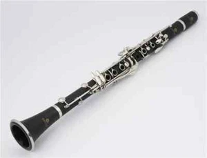 JCL-700Q Bb Soprano Clarinet 17 Keys B Flat Bakelite Clarinet Case Mouthpiece - Picture 1 of 8
