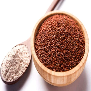 Finger Millet Powder Kurakkan Ragi Flour 100% Ceylon Pure Healthy Organic - Picture 1 of 1