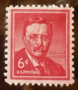 1954 U.S. Postage Theodore Roosevelt 6 Cent Stamp Scott 1039 - Picture 1 of 1