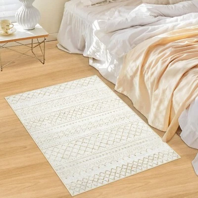 AOYAOMI 2x3 Washable Entryway Rug Boho Geometric Non Slip Area Carpet