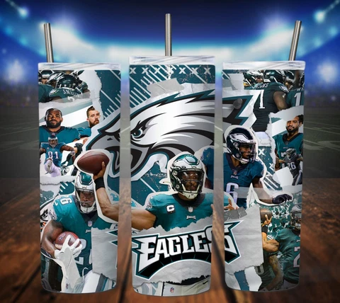 20oz Philadelphia Eagles NFL tumbler with box, lid and straw Cover