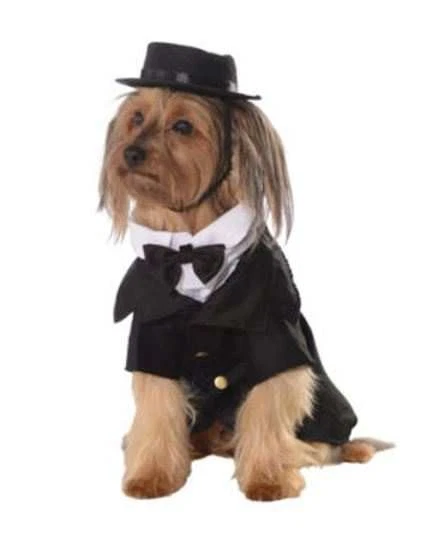 NUEVO CON ETIQUETAS DAPPER DOG Disfraz de Esmoquin con Sombrero Talla Mediana Halloween Boda Año Nuevo Foto 1 de 1