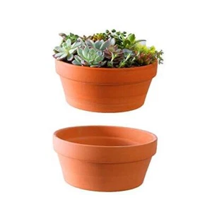 Large Terracotta Pots for Succulent - 10 Inch Cactus Plant Containers Indoor - Picture 1 of 6