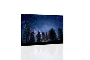 Trees And Galaxy - CANVAS OR PRINT WALL ART - Picture 1 of 2