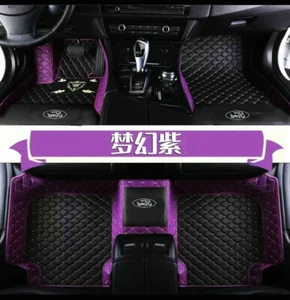 For Ford Car Floor Mats Auto All Model Fiesta Focus Fusion Mustang Ranger Taurus - Imagen 1 de 20