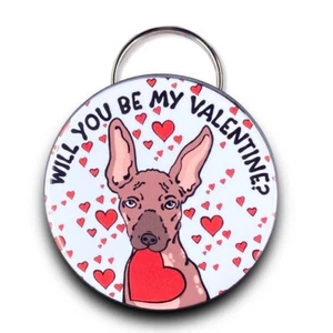 Xoloitzcuintli Dog Valentines Day Heart Bottle Opener Handmade Accessory - Picture 1 of 15
