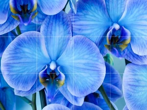 Panel de cerámica de mosaico de orquídeas flores salpicadero azulejos arte mural - Imagen 1 de 7