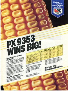 1984 Print Ad of Northrup King NK PX9353 Hybrid Corn Seed - Picture 1 of 1