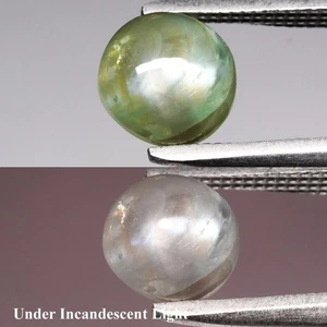 💎 1.39ct Round Cabochon Natural Green Cat's Eye Alexandrite - Russia Gemstone - Picture 1 of 6