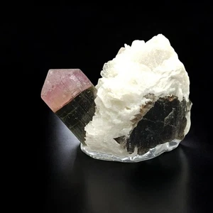 Natural Bi Color Tourmaline Crystal & Mica on Calcite Matrix Collector Specimen - Picture 1 of 10