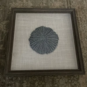 SHADOW BOX NATURAL SEA CORAL FRAME 12"X12"-3 - Picture 1 of 3