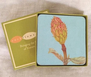Rock Flower Paper Coasters Set Of 4 Plant Nature Blue Orange Cork 4" x 4" New - Picture 1 of 16