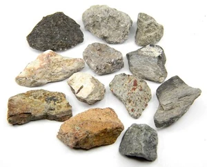 Huesos de Dinosaurio Fósiles Genuinos Lote 50.79 Gramos Origen: Utah, EE. UU. - Imagen 1 de 3