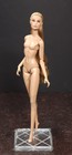 Fashion Royalty Varsity Alejandra Luna NUDE DOLL ONLY w stand, extra hands limbs