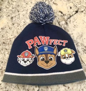 Paw Patrol Pawfect Knit Winter Hat Toddler Pom 2T - 4T - Picture 1 of 4