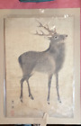 antique Chinese or Japanese Oriental ink painting of a deer