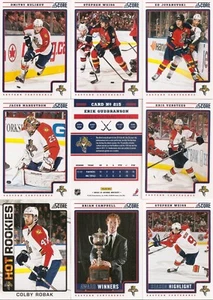 Juego completo del equipo Panini Score Florida Panthers 2012-13 (17) - Imagen 1 de 1