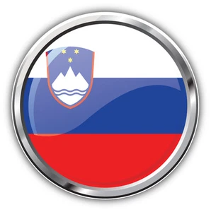 Slowenien Flagge glänzend Silber Medaille Autoaufkleber Aufkleber 5" x 5" - Bild 1 von 1