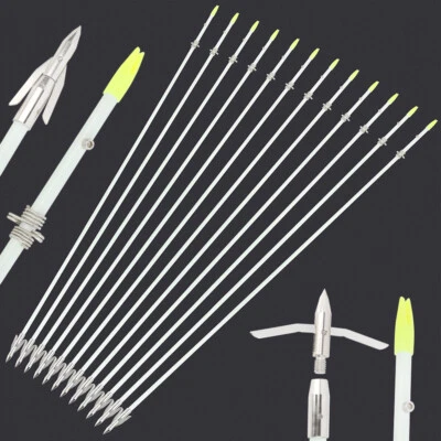 36" Bowfishing Arrows Solid Fiberglass Fishing Bow Hunting Archery Broadheads - Image 1 of 4