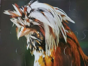 10" x 7.5" ~ 8 piece Tolbunt Polish chicken puzzle candy corn rooster  - Picture 1 of 9